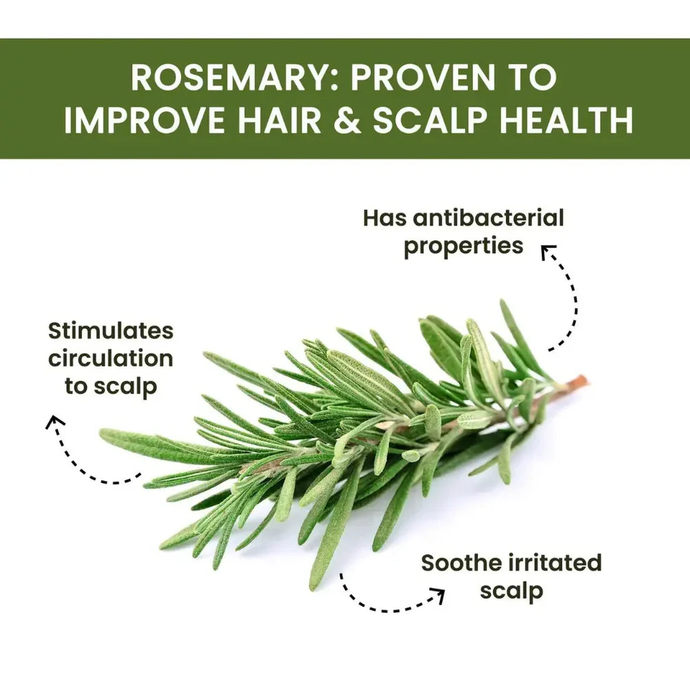 Rosemary Water Spray | For Hair Regrowth (Buy 1 Get 2 Free đ)
